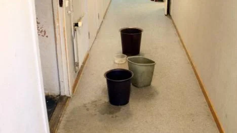 Här står hinkarna i rad. Inte utan anledning. FOTO: Hans Sternlund