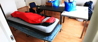 Sov på bordet för att slippa bli biten
