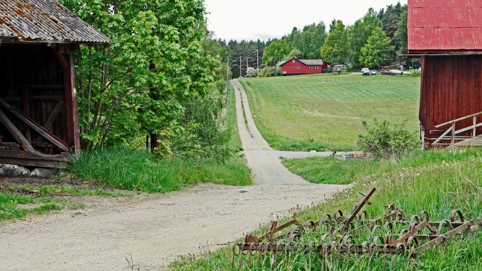 Livskraft. På landsbygden finns kreativitet och engagemang att ta tillvara.