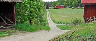 Gunilla Carlsson: Ge landsbygden chans att växa