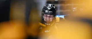 SDHL-meriterade forwarden återvänder till AIK