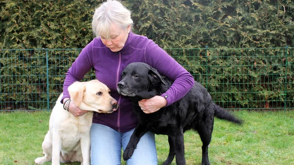Famnen full. Ingela Corander tillsammans med sina labradorer - gula Saga och svarta Lotten.