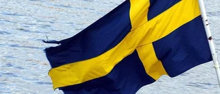 Stefan Fölster: Sikta högre, Sverige!