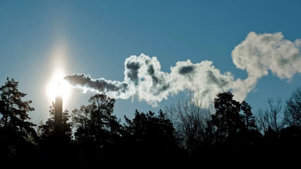 Naturskyddsföreningen har genomfört en granskning av de svenska Europaparlamentarikerna.