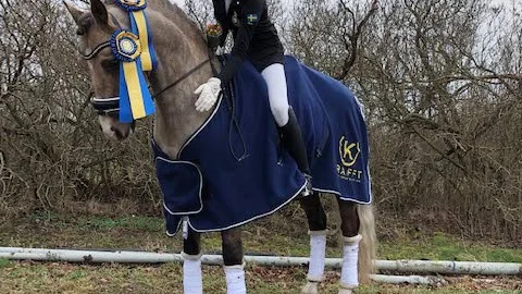 Tindra Holmertz och Brave Heart har fått en riktigt bra start tillsammans.