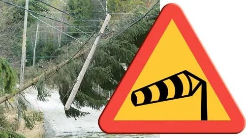 Enligt SMHI kan den nya stormen vara den värsta sedan Gudrun. Vimmerby Energi och Eon har höjt sin beredskap. En tidigare drabbad berättar dock att han inte räds den nya stormen, trots att han var utan ström i 24 fyra dagar efter Gudrun. Foto: Pressens Bild