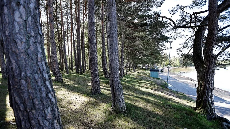 Demokrati betyder inte att en liten minoritet ska kunna få igenom sin vilja till vilket pris som helst, menar skribenten.