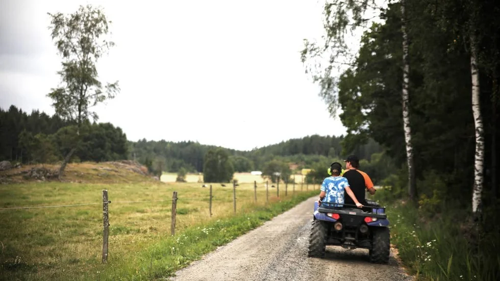 I dag finns stora arealer av tidigare betesmark som inte brukas, menar skribenterna.