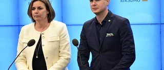 Miljöpartiet viktigare än någonsin