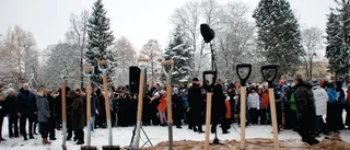 Linköping får dela på miljoner