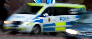 Vittnen såg hur mannen stal från bilarna