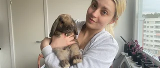Caroline, 20, hittade kaninfamilj i trappuppgången