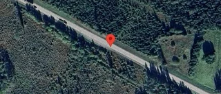 En personbil i vilttrafikolycka på väg 76
