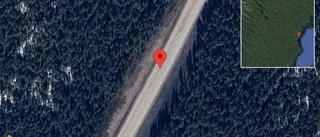 Singelolycka orsakar stopp på E4