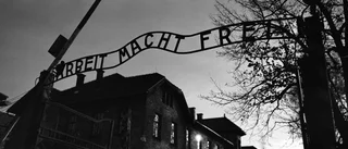 Hockeylag straffas för hänvisning till Auschwitz