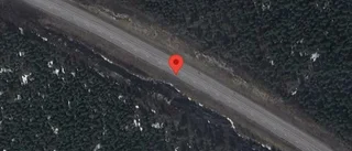 Varning för renar på vägen på E4