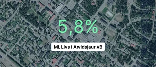 ML Livs i Arvidsjaur AB: Så såg siffrorna ut senaste året