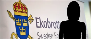 Företagsprofil åtalas för två fall av bokföringsbrott