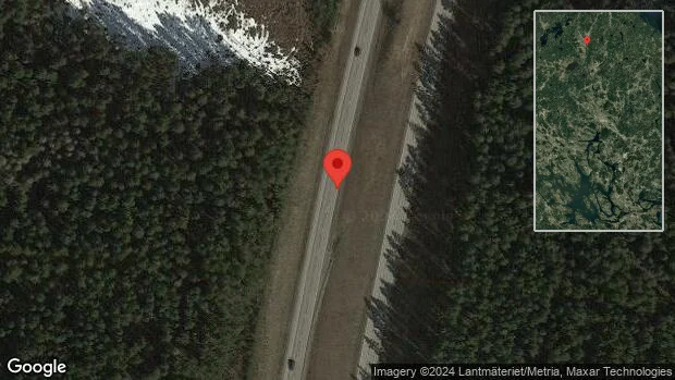 Rådjur på fel sida av viltstängslet på E4
