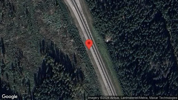 Älg på fel sida viltstängslet på väg 52