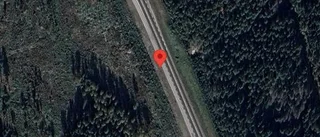Älg på fel sida viltstängslet på väg 52