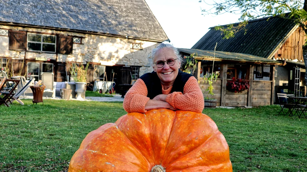 Christina Sundkvist siktar på ännu större pumpa nästa år, då räknar hon också med att bli utmanad i en storlekstävling. 