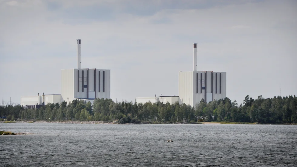 Forsmark 1 och 2 lär få sällskap av flera nya svenska reaktorer på 2030-talet.