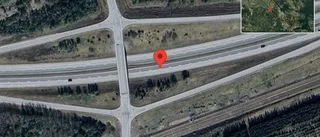 Trafikverket varnar för älg på vägen på E20