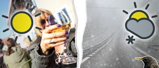 Dramatiskt väderomslag på ingång – vårvärme kan bli till snö
