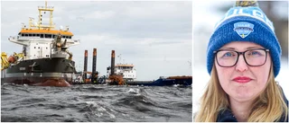 Luleå hamn backar 70 miljoner kronor: "Ja, jag är bekymrad"