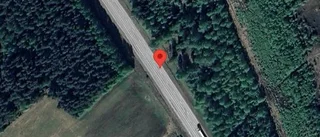 Trafikverket varnar för älgar på vägen på E4