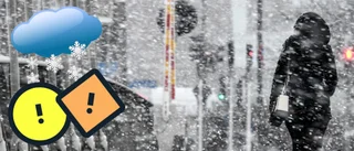 SMHI:s besked: Då slår snön och minusgraderna till i Skellefteå
