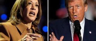 Därför kan det verka vettigt att rösta på Trump