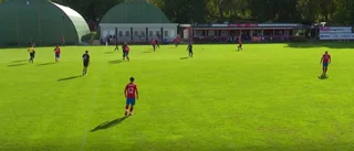Bissarna tappar i toppstriden