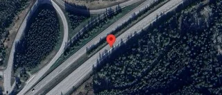 Trafikverket varnar för rådjur på vägen på E18