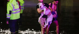 Minst 35 döda i USA efter orkanen Helene