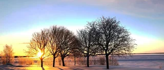 Strålande vintermorgon