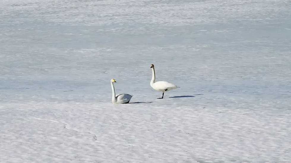 Dagens läsarbild.