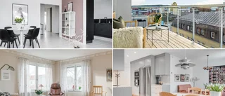 Revealed: Skellefteå's priciest apartments of the year so far