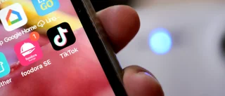 Vi ska inte servera Kina känslig information