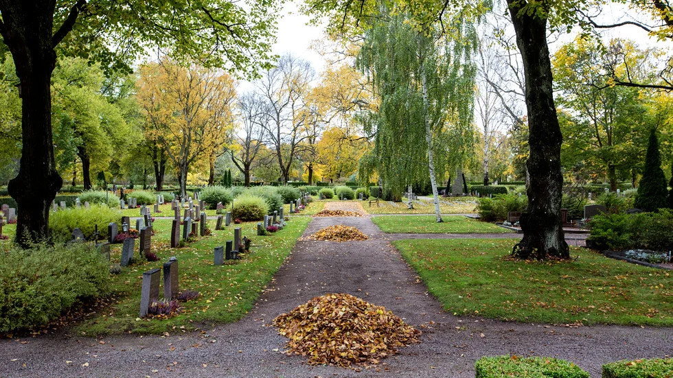 Hur tänker den som stjäl blommor på kyrkogården, skriver Margareta Silenstam.