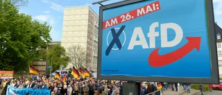 Första borgmästarposten för AFD