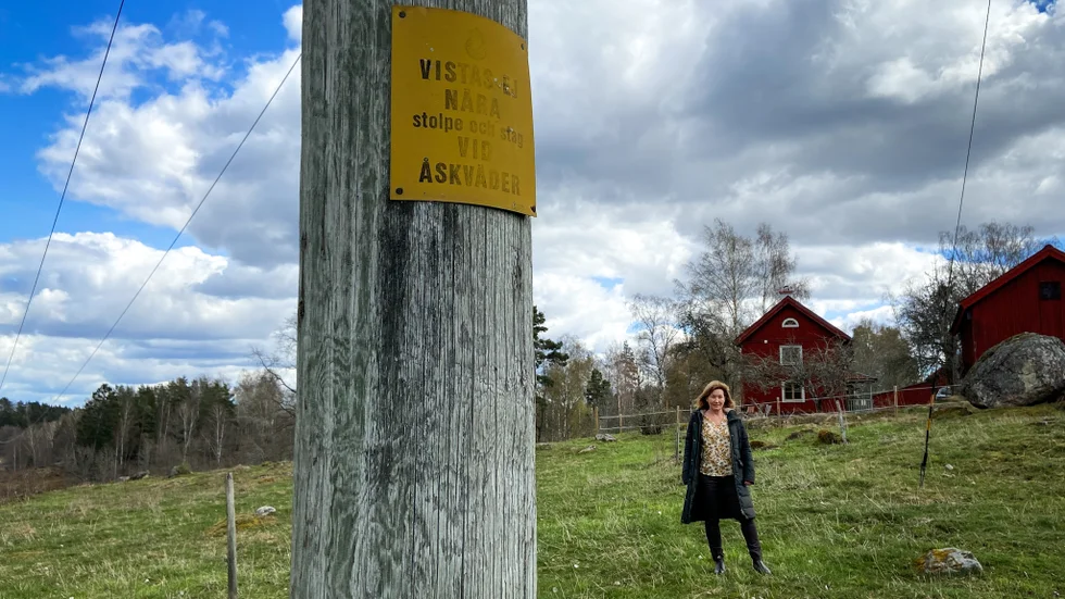 "Det är som ett mörkt moln som hänger ovanför våra huvuden", säger Cathrin Bergenstråhle som inte vill ha fler ledningar vid sitt hus. I stället vill hon att Vattenfall gräver ner de nya elledningarna.