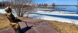 Läsarbilden: Fiskegubben i hamnen