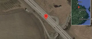 Rådjur på vägen på E4
