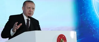 Gratis gas tryckte ned turkisk inflation