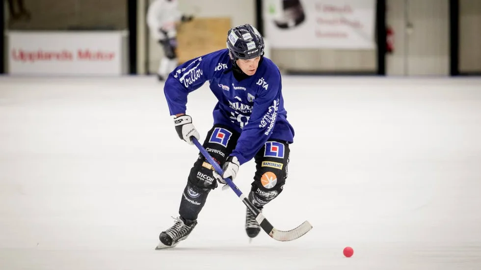 Framtidstro. Efter att ha kvalat de senaste säsongerna för att stanna kvar i elitserien vill Sirius bandy göra bättre ifrån sig.