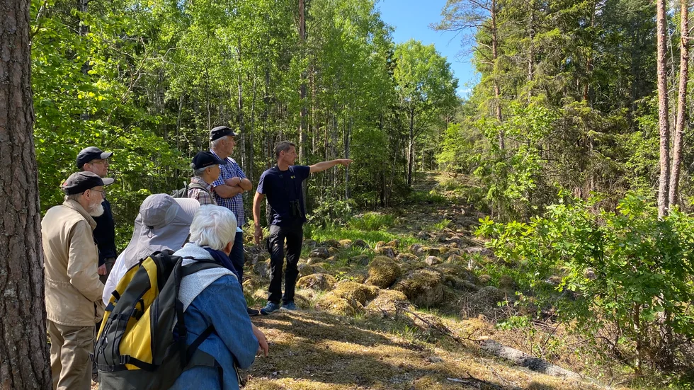 Expeditionen som innehöll representanter från Uppsala kommun, Upplandsmuseet samt flera föreningar står här vid en sträcka av fornborgen som redan har röjts från träd.