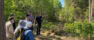 Mystisk fornborg i Hågadalen ska göras tillgänglig: "Unik miljö"