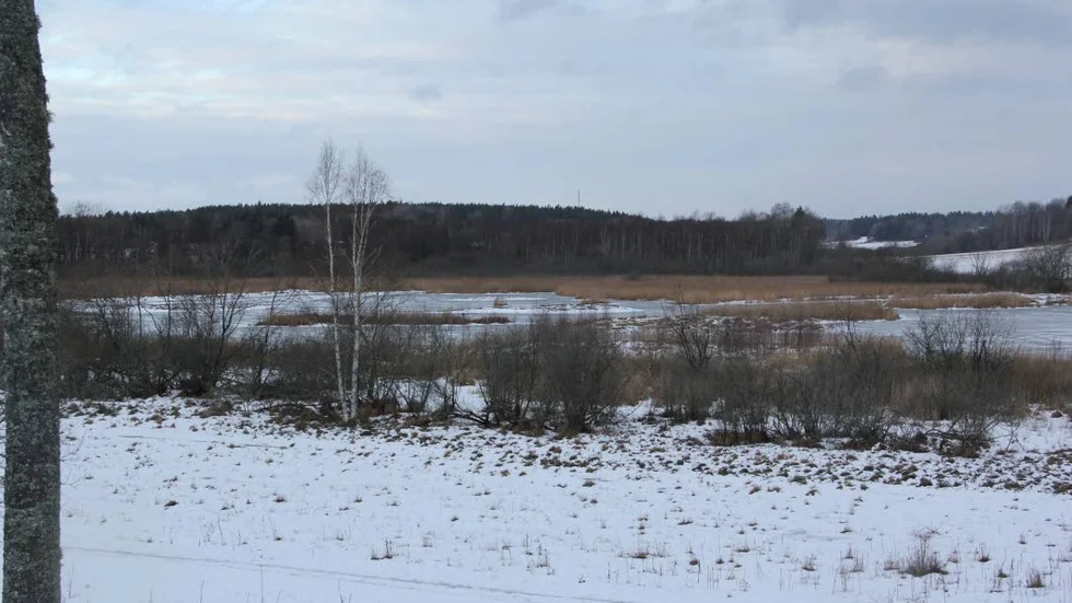 Gredelby hagar och Trunsta träsk i utkanten av Knivsta tätort.
